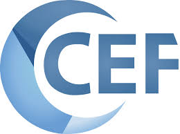 image of Embedding the Web: A Deep Dive into Chromium Embedded Framework (CEF)
